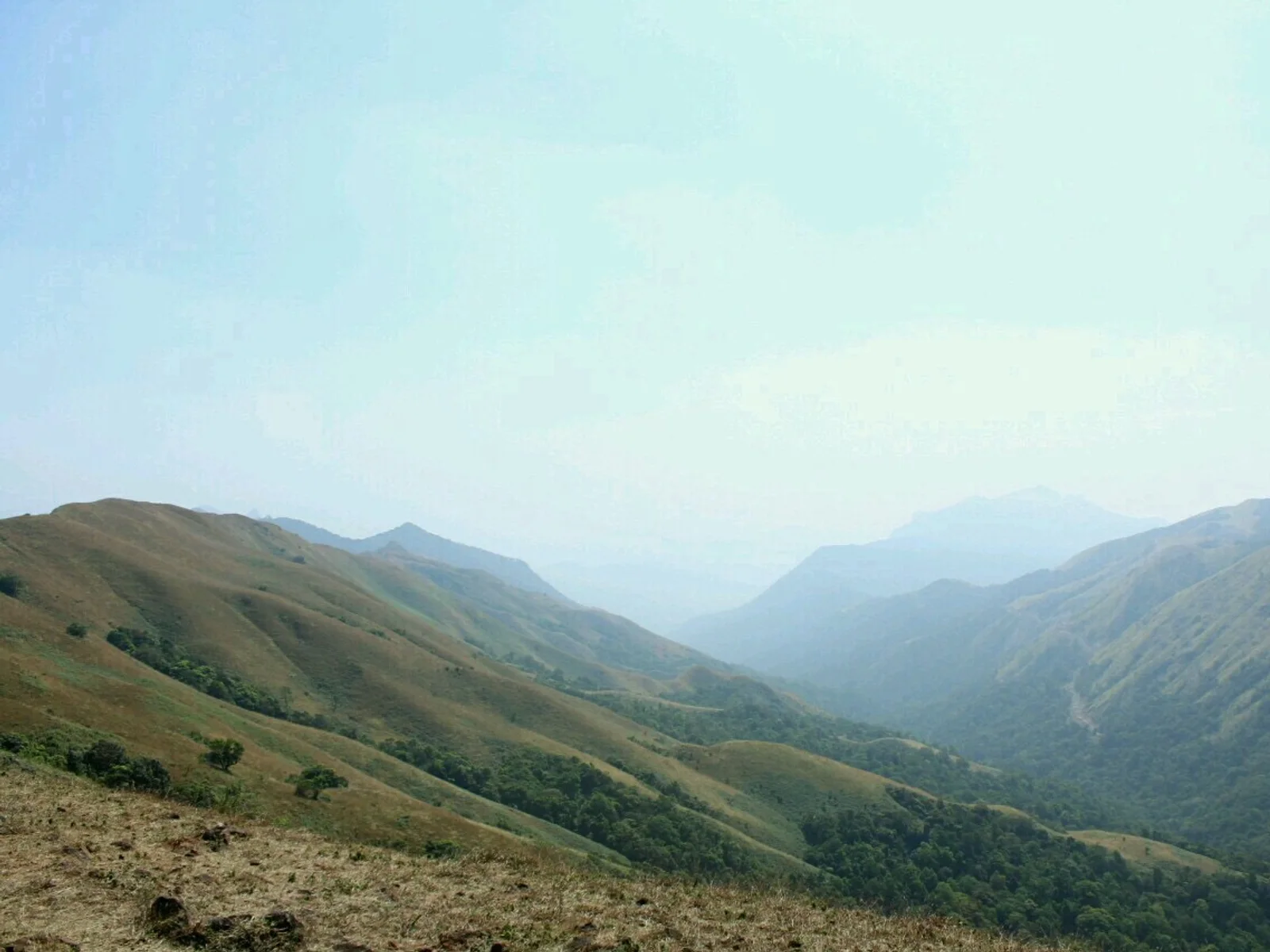 The forested hills of Devaramane Betta from a different vantage point