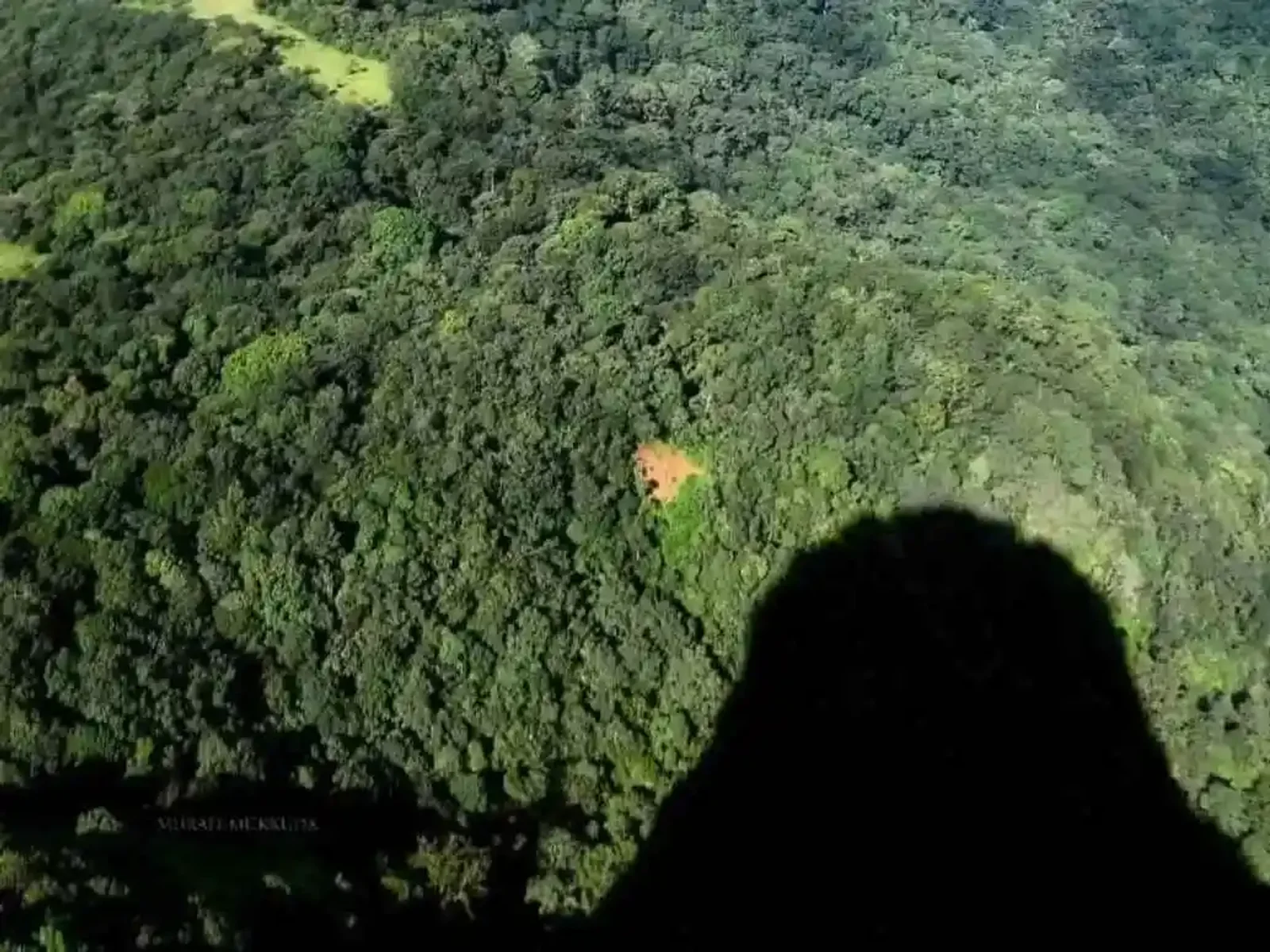 An aerial view of the Ettina Bhuja ridge rising above the forest canopy