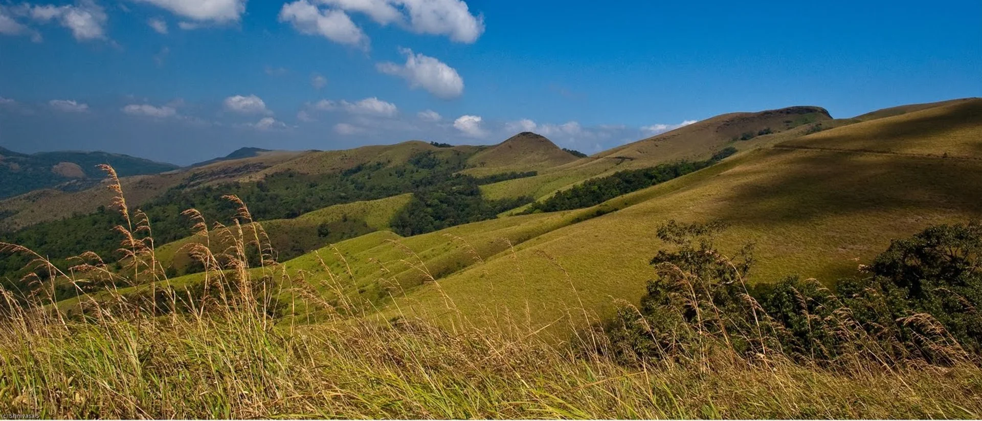 The hill landscape around Kemmangundi