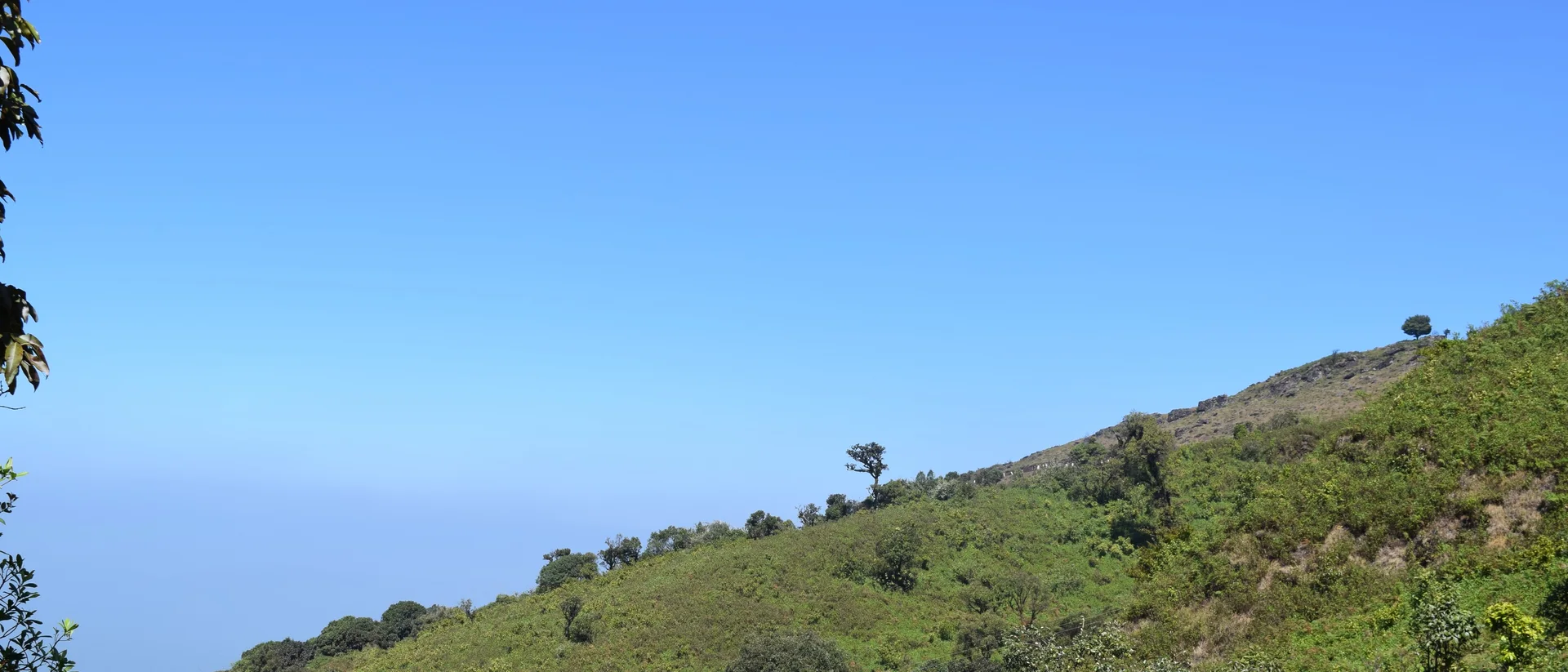 The summit ridge of Mullayanagiri, Karnataka’s highest peak